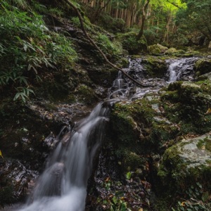 Sounds of the River