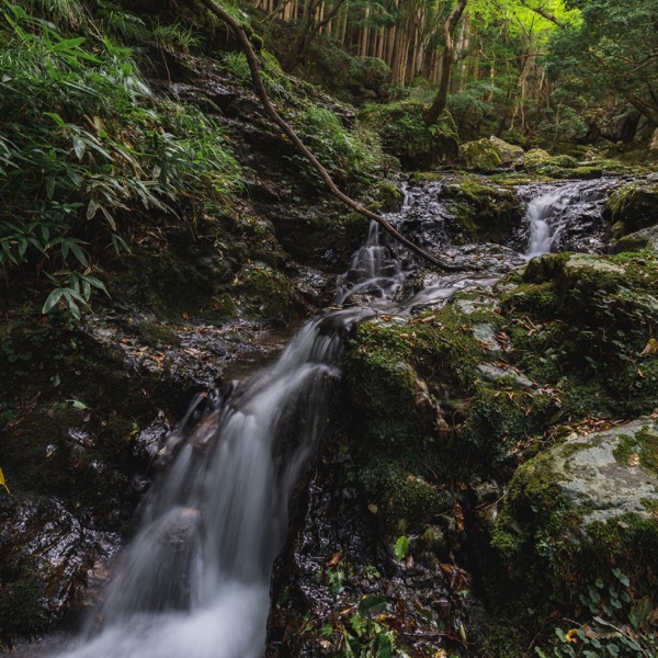 Sounds of the River