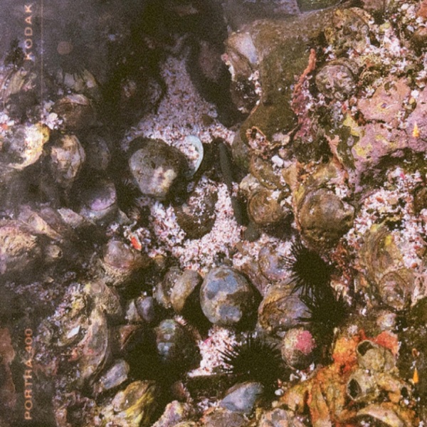Red Tide