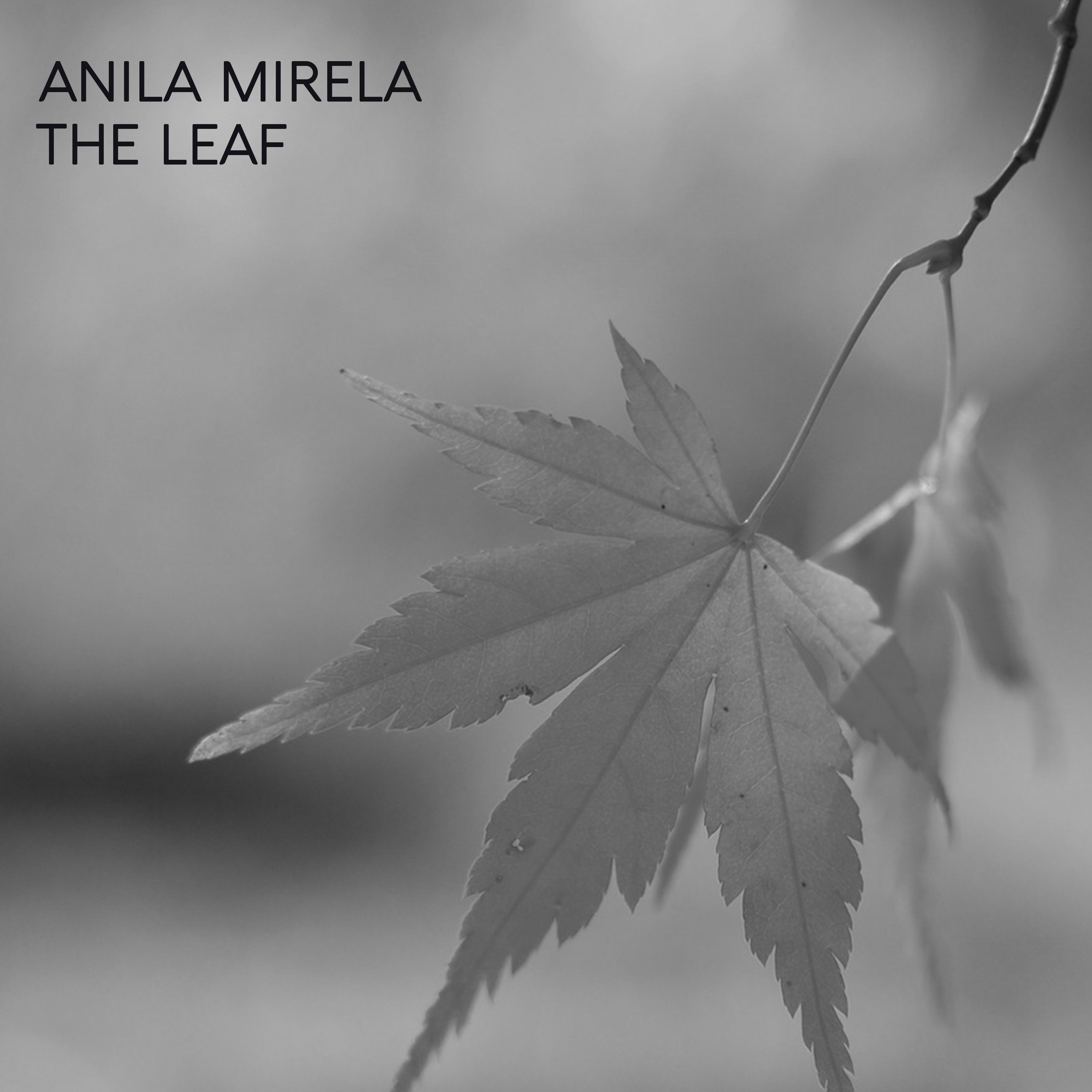The Leaf - Single