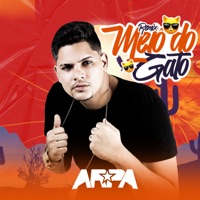 Melô do Gato (Remix) - Single - Mc Arpa
