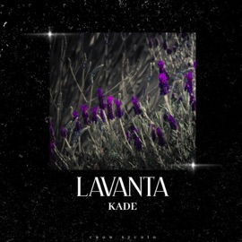 Lavanta Kade