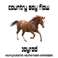 Country Boy Flow - Single - Jayrad