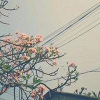 Introspection (feat. Coodysan) - Single - Dakkuma