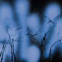 Шелковица - Single - Макодзеба