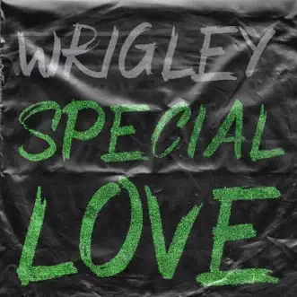 Special Love by Wrigley song reviws