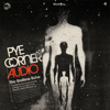 Pye Corner Audio - The Endless Echo обложка