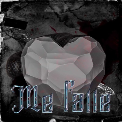 Me Fallé - Single
