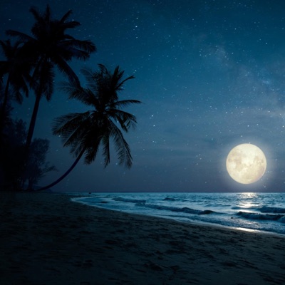 Summer Tape Vol. 2: Cold Summer Nights (Radio Edit) - EP
