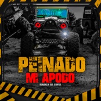 Peinado Mi Apodo - Single - Herencia Del Cartel
