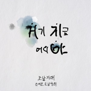 Dingo X ChoNam Zone - Single