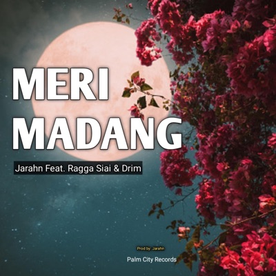Meri Madang (feat. Ragga Siai) - Single