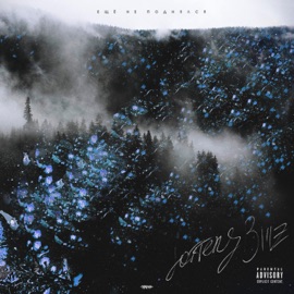 Ещё не поднялся Lottery Billz