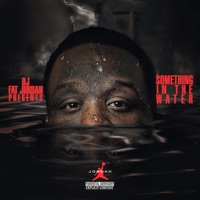 Something In the Water - Dj Fat Jordan
