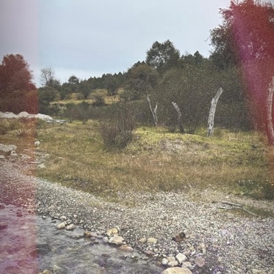 mytrueself (DEMO) - Single