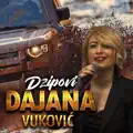 Dzipovi