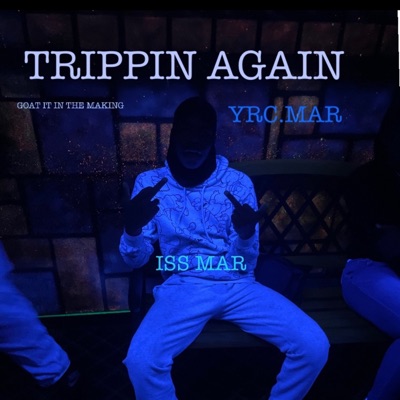 Out the Frame/Trippin Again - Single