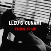 Turn It Up - Single