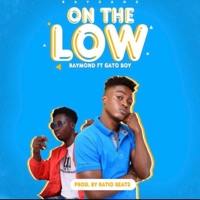 On the Low (feat. Gato Boy) - Single - Raymond Burna
