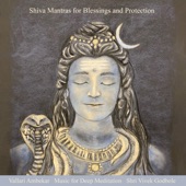 Shiva Mantras for Blessings and Protection artwork