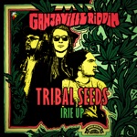 Tribal Seeds & Reggaeville - Irie up (Ganjaville Riddim)