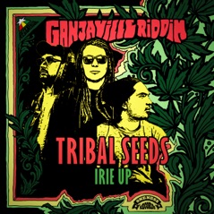 Irie up (Ganjaville Riddim) - Single