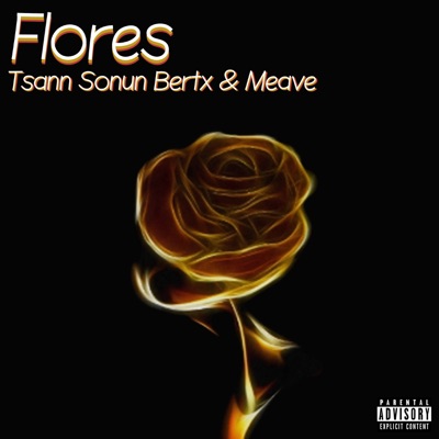 Flores (feat. Meave) - Single