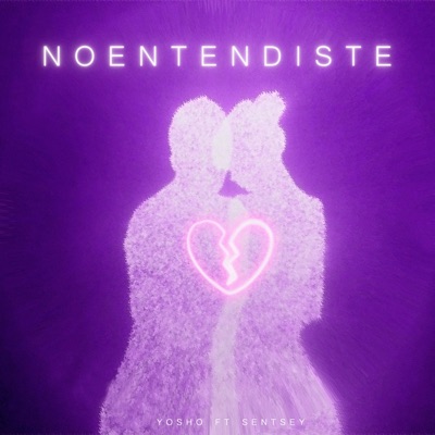 No entendiste (feat. Sentsey) - Single