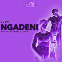 Ngadeni (feat. Rude kid venda & ElarMusic) - Single - Tippy