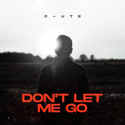 Don't Let Me Go - Single