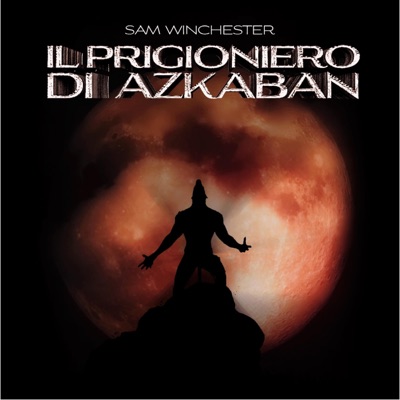 Il prigioniero di Azkaban - Single