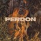 Perdón - Suplentes lyrics