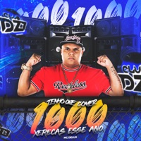 TENHO QUE COMER 1000 XERECAS ESSE ANO - Single - MC DELUX