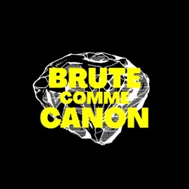 Brut comme canon (feat. Ana Ford) Cinq