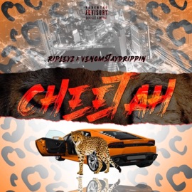 CHEETAH (feat. VenomStayDrippin) Ripleyz