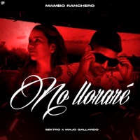 No Lloraré (feat. MamboRanchero & Majo Gallardo) - Single - Sektro