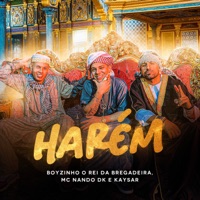 HARÉM (feat. Kaysar & Mc Nando Dk) - Single - Boyzinho o Rei da Bregadeira