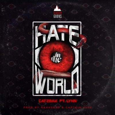 Hate In The World - Single