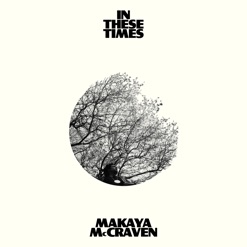 IN THESE TIMES cover art