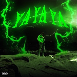 Ya Ya Ya Young Santo