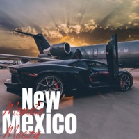 New Mexico - Single - Monsta Meezy