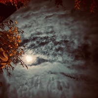 aching hearts. - Single - bank.