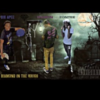 Diamond In the Rough (feat. Marion & Zontee) - Single - Big Apee