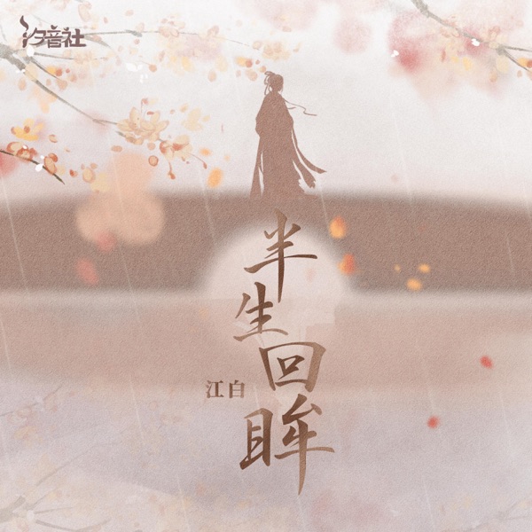 半生回眸 (DJ沈念版) - Single
