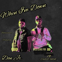 When IM Down - Single - Don Jr.