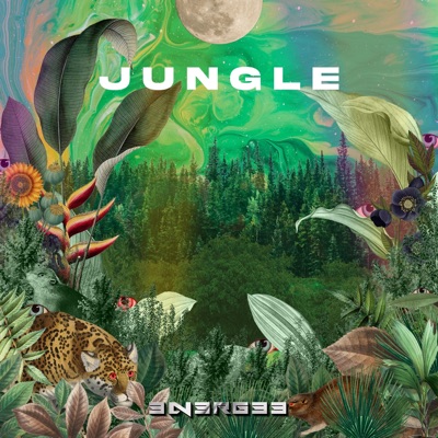 Jungle - Single