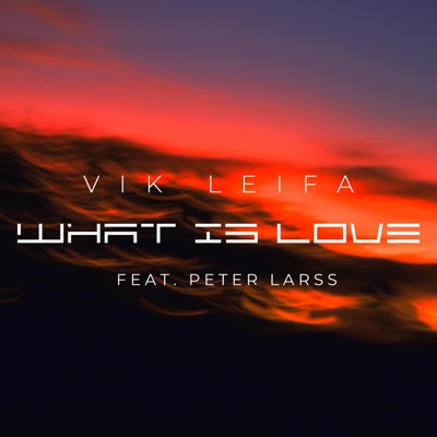 What Is Love (feat. Peter Larss) - Single