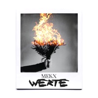 Werte - Single - Mekx