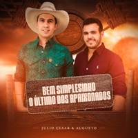 Bem Simplesinho / O Último dos Apaixonados - Single - Júlio Cesar Augusto