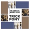 On a Mission - Trick Pony lyrics